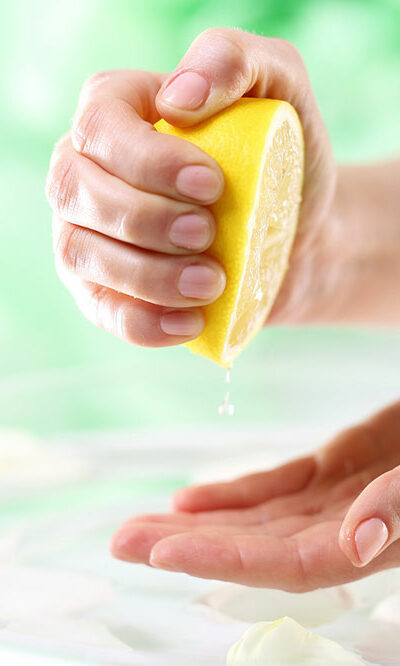 8 ways to deal with flea and tick infestations