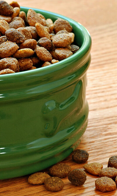 10 Dog Food Deals to Expect for Black Friday 2023