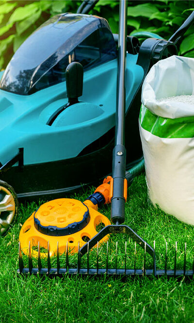 10 Easy Lawn Care Tips for a Lush Yard