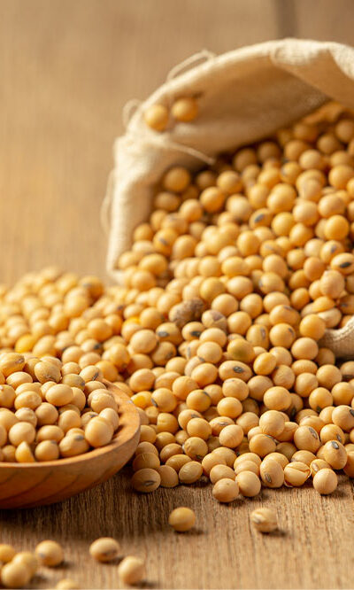 Foods to avoid and foods to eat for bone health